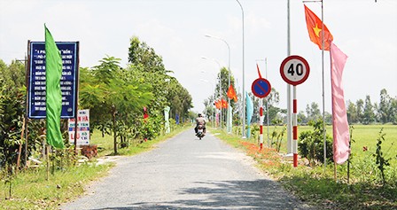 New rural development in Thanh Thang, Can Tho - ảnh 1